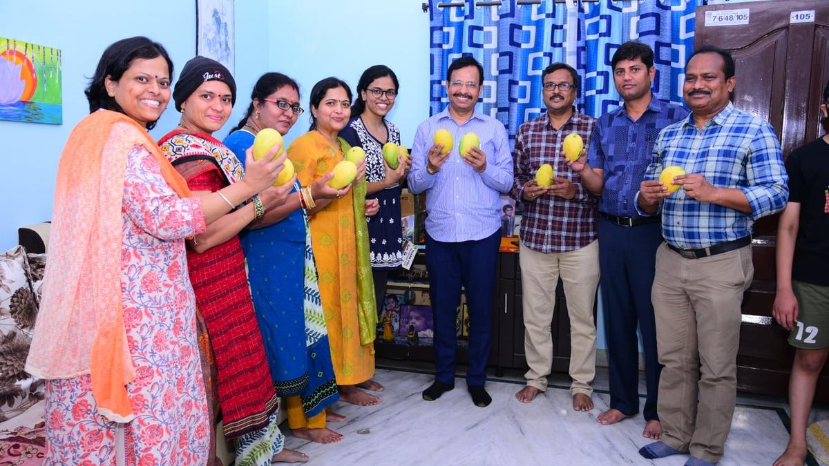 TSRTC Mango Express delivers first consignment The Hindu