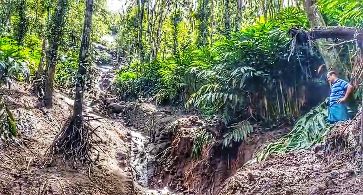 A major landslip occurred near Swapna Junction in Vellaramkunnu under Kumily panchayat, in Idukki, damaging nearly one acre of cardamom plantation. 
