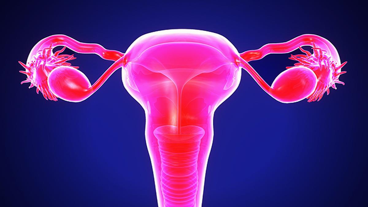 Tackling the rising burden of uterine cancer with innovative approaches and personalised care Tackling the rising burden of uterine cancer with innovative approaches and personalised care