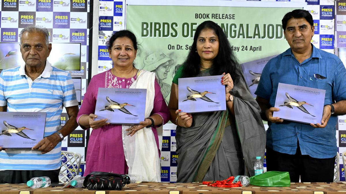 Birds of Mangalajodi: A visual journey into Chilika’s avian paradise