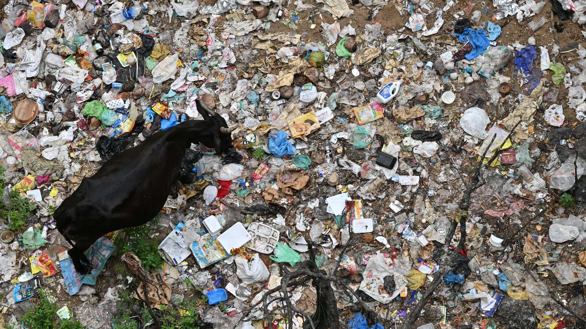 Temporary suspension of sanitary waste collection creates backlog of 3,200 orders in Kochi Corporation