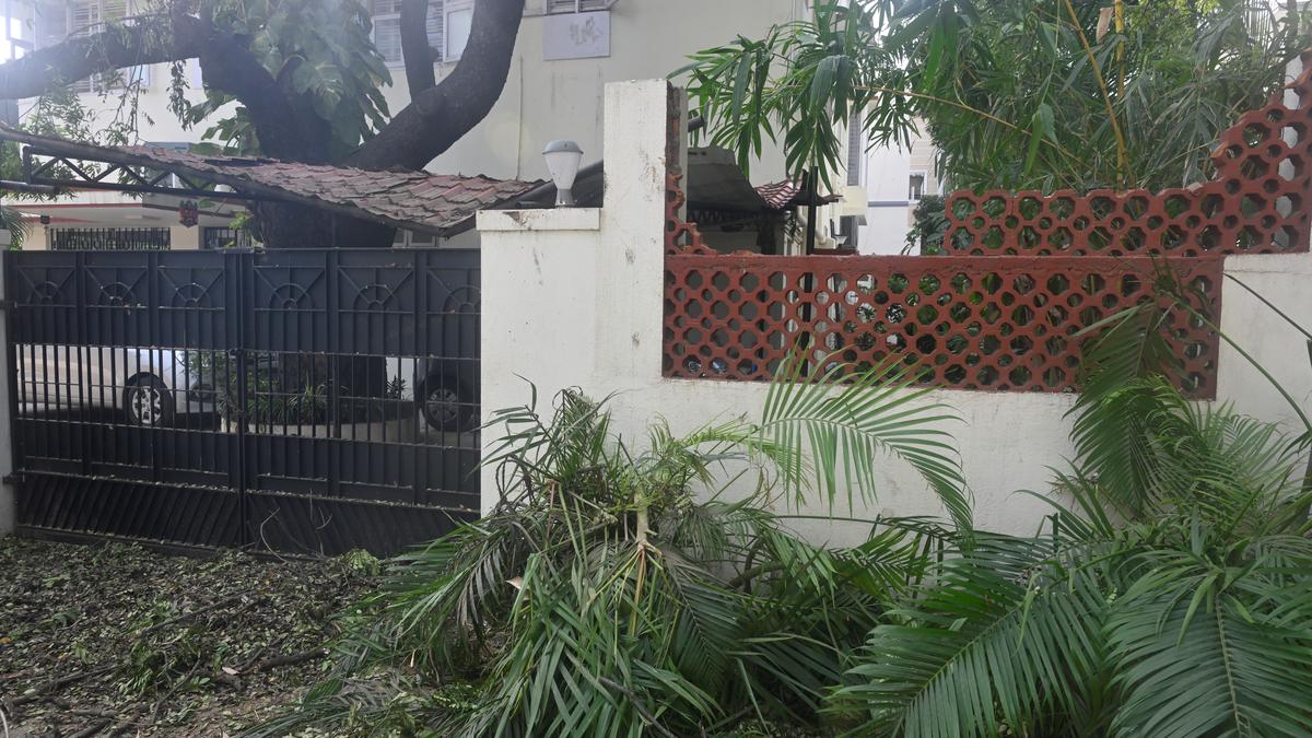 Falling tree damages house, injures two-wheeler rider near Valluvarkottam