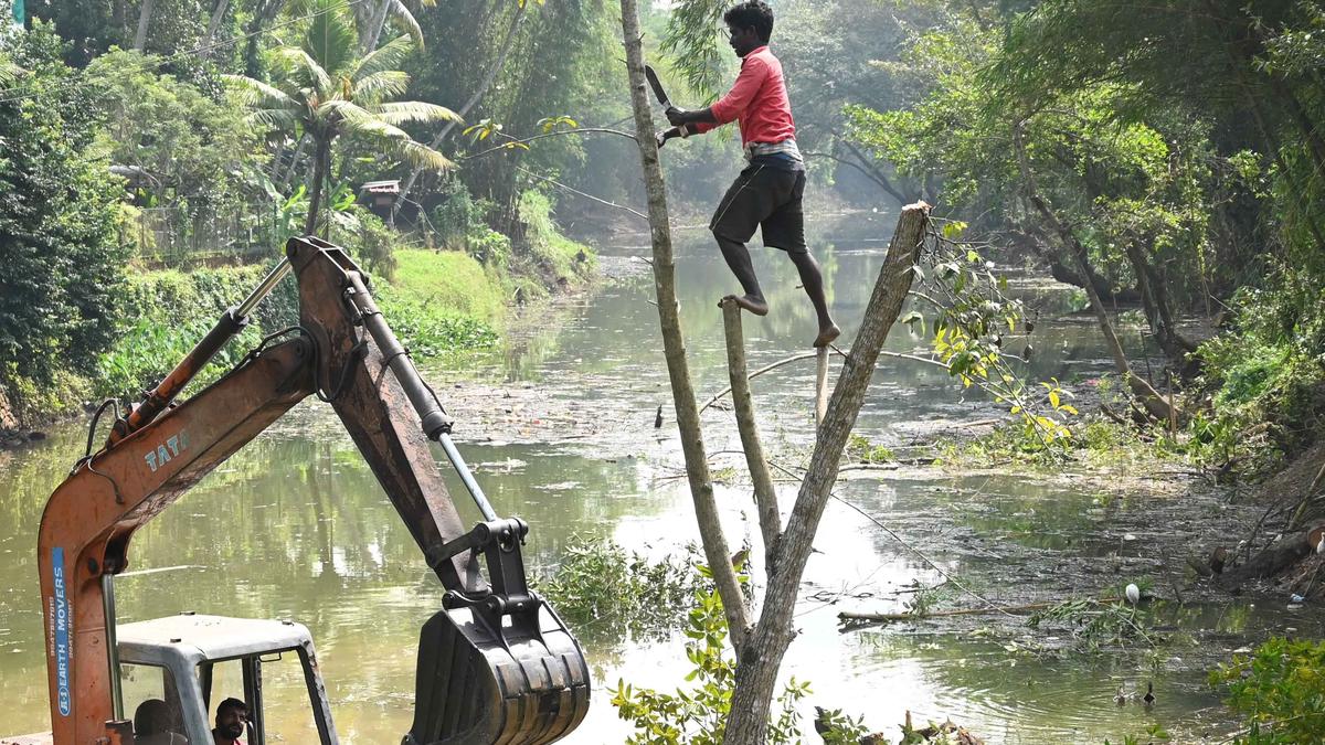 Restoration of Meenachil river resumes at Peroor The Hindu