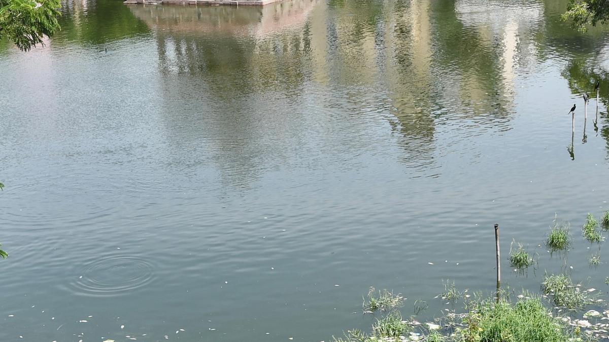 Temple tanks across Tamil Nadu will be cleaned ahead of monsoon