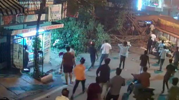 Roadside tree falls in BTM Layout, leaving seven injured