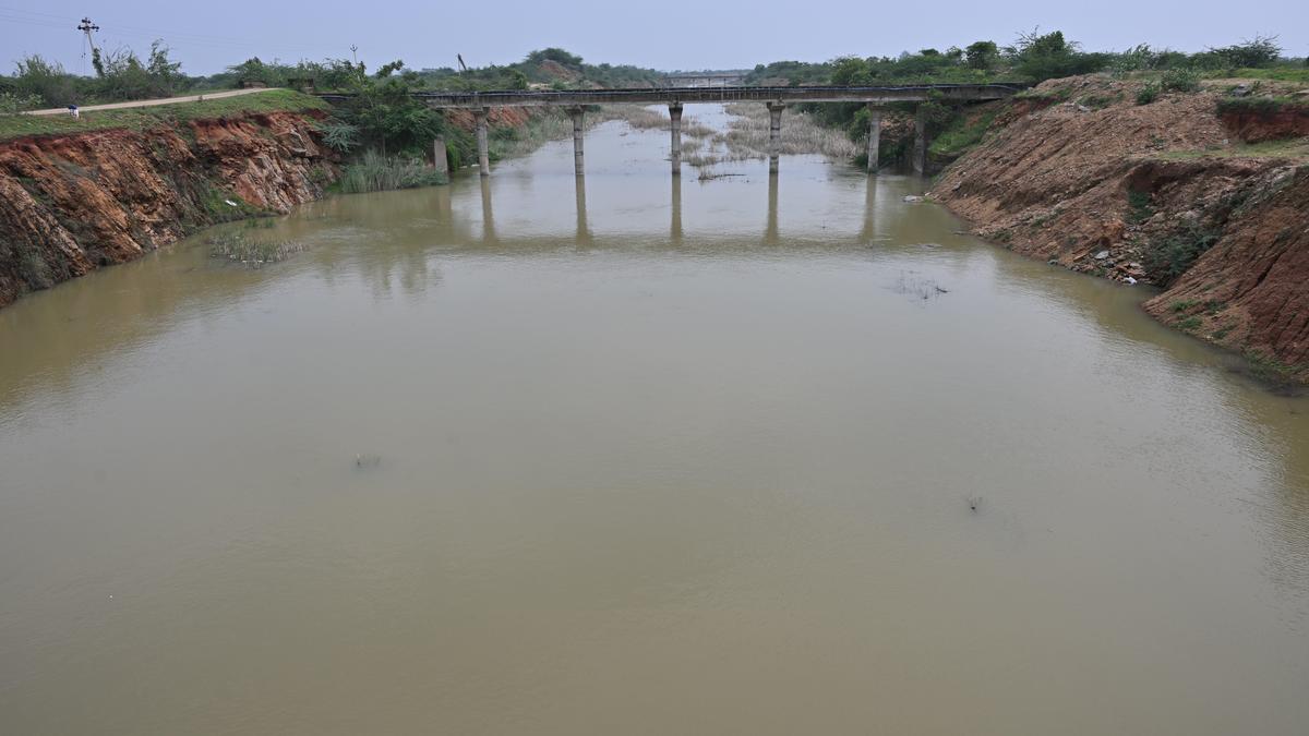Flood carrier channel receives water to enthuse rain shadow region farmers of Radhapuram, Sattankulam