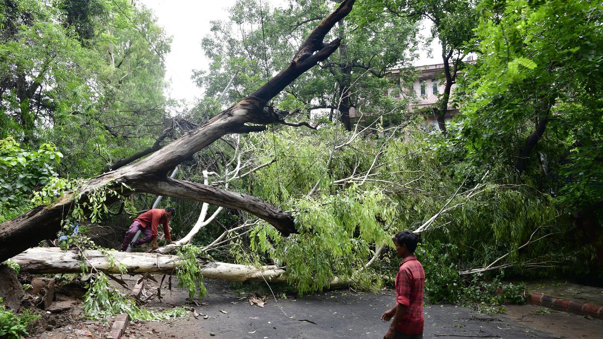 2023 Monsoon News | Delhi records highest single-day rainfall for July since 1982