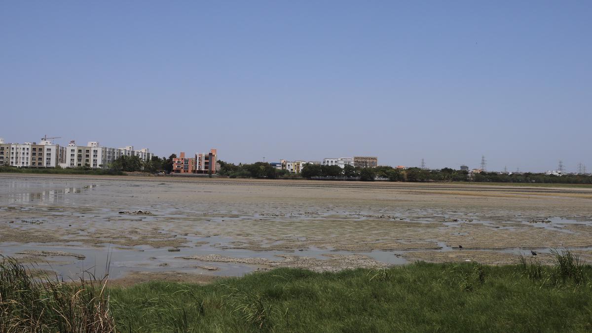 Are Chennai’s wetlands suffering from irregular heartbeats?