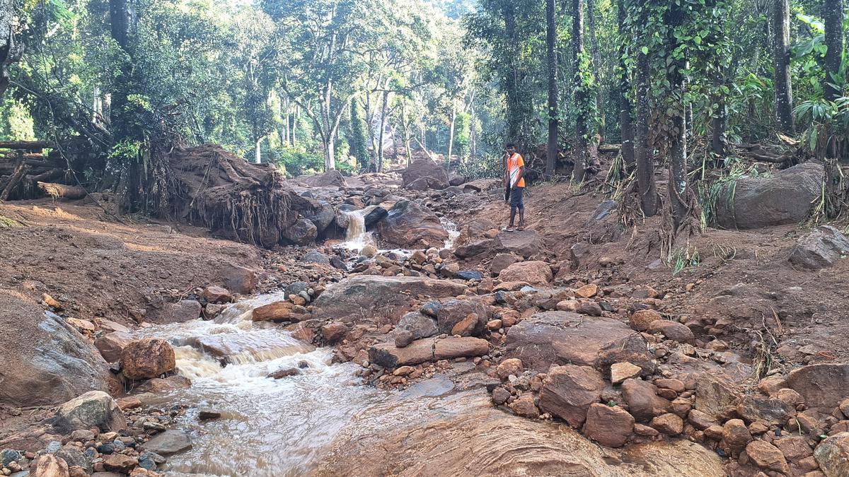 Agriculture Department for deeper study into serial landslips in Udumbanchola taluk