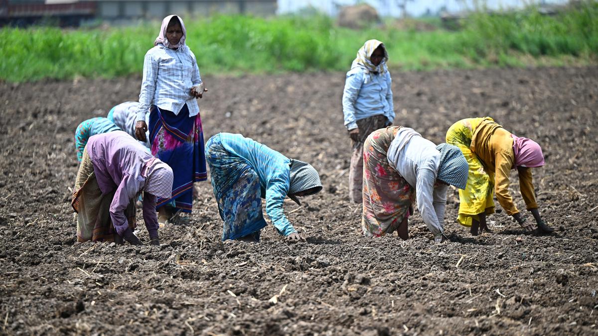 Government readies contingency plans to counter El Nino threat to kharif season, says Agriculture Minister Shivraj Chouhan