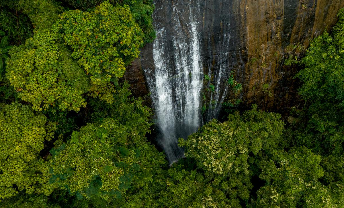 A view of Durgapadu Waterfall, a popular tourist destination, in Rayagada district of Odisha. 