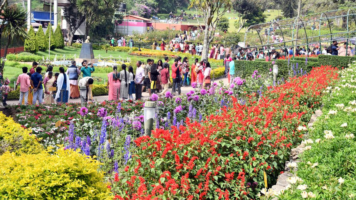 Flower show at Kodaikanal set to attract more tourists; district administration has made elaborate arrangements