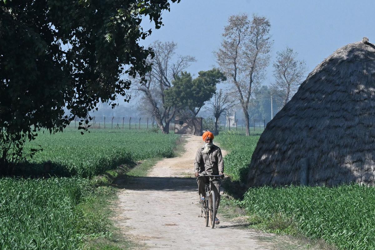 In agrarian Punjab, which shares the border with Pakistan, parents encourage youth to migrate in the fear that they may take to drugs. 