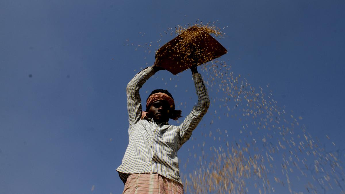 Odisha produces 13.606 million tonnes of food grains, highest production so far for State