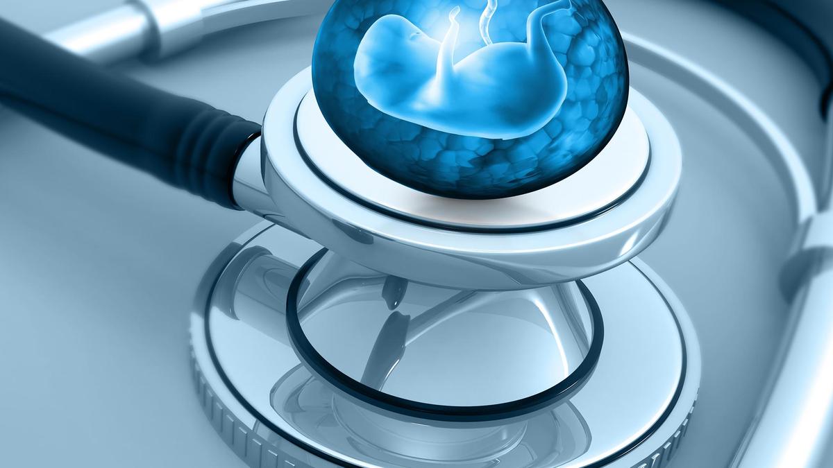 Inside a scientific experiment that transformed skin cells into embryo-forming eggs
Premium