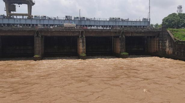 Second flood warning issued as Godavari in spate in Andhra Pradesh