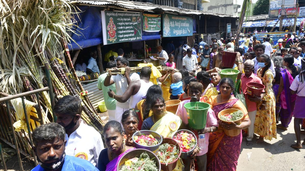 ‘Poochorithal festival’ held at Samayapuram temple The Hindu