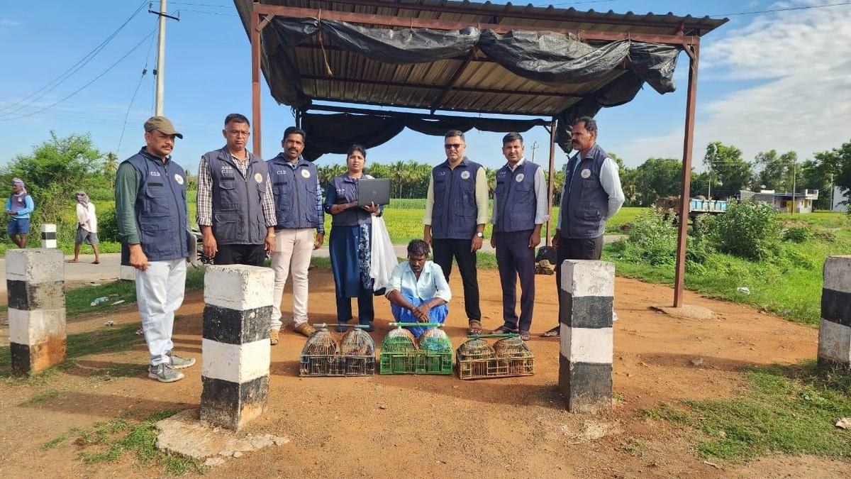 One arrested for attempting to sell Grey Francolins
