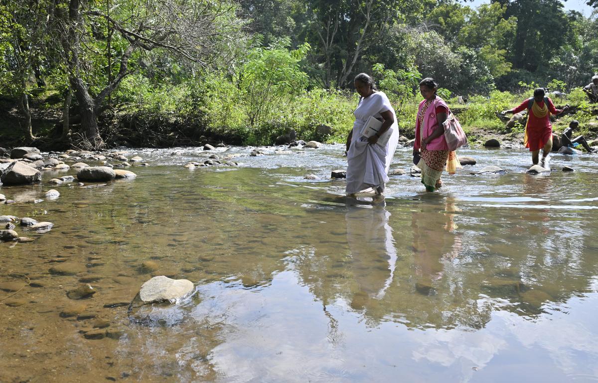 thehindu.com - Ramya Kannan - Ahead in health, but a new set of challenges awaits Tamil Nadu