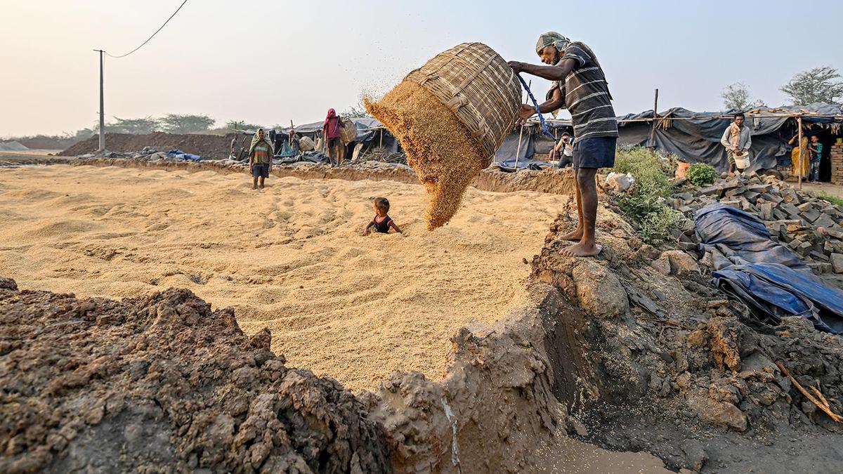 West Godavari district of A.P. bets big on green silica industry