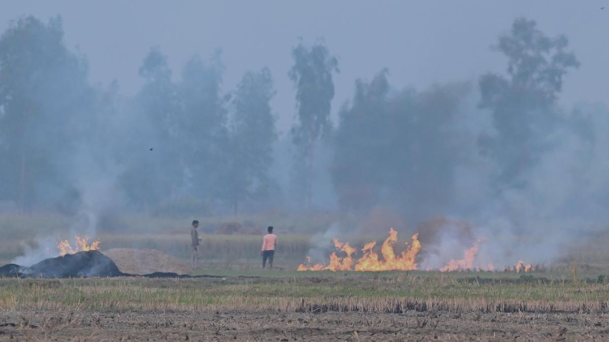 Satellite estimates of fire counts overestimate stubble burning reduction