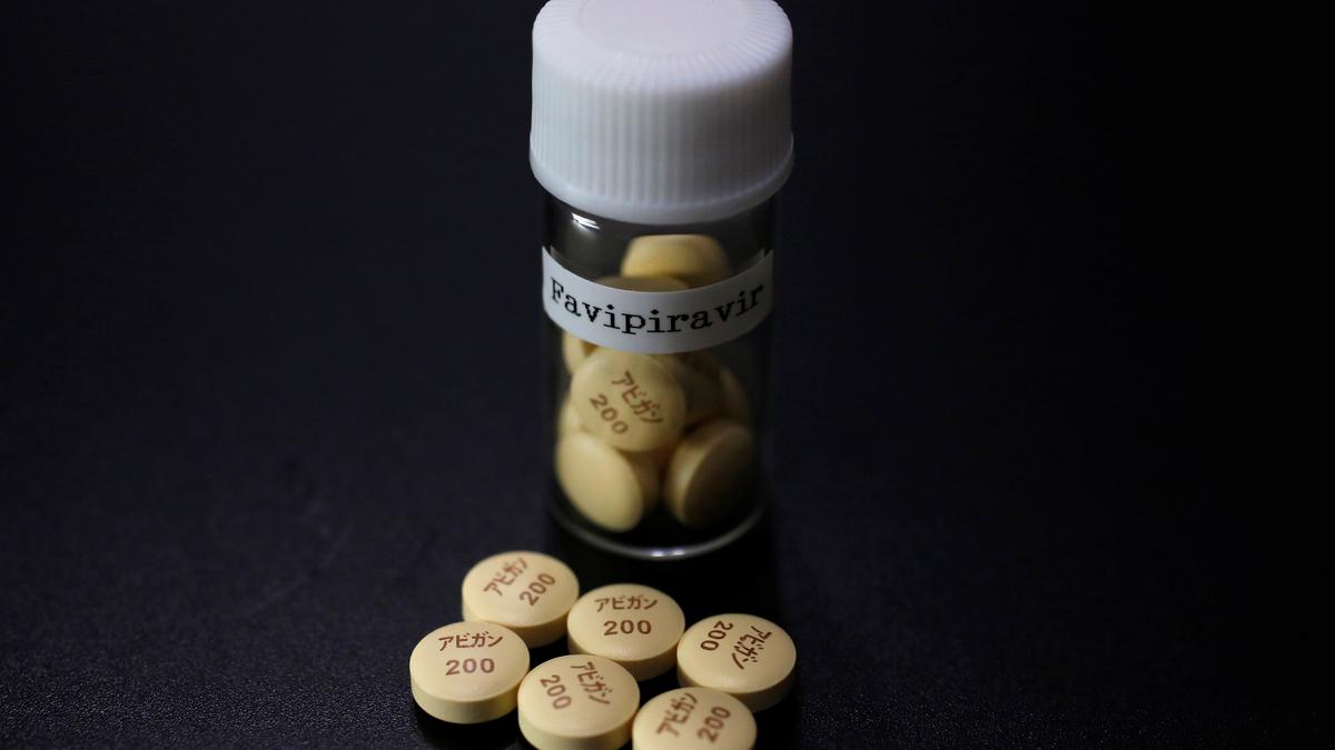 Favipiravir drug shows promise against Chandipura virus in preclinical studies by NIV
