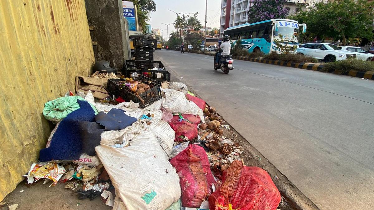 Udupi DC asks local bodies to set up special care waste collection centres