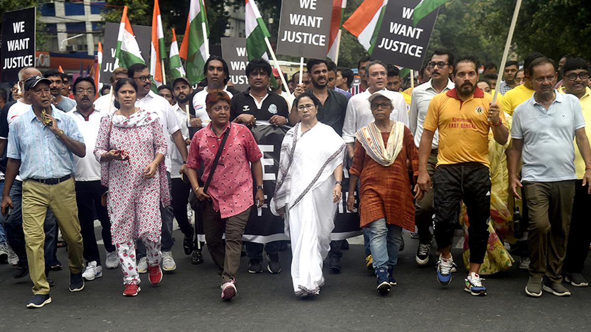 Wrestlers' protest | TMC MPs walk out of parliamentary panel meeting