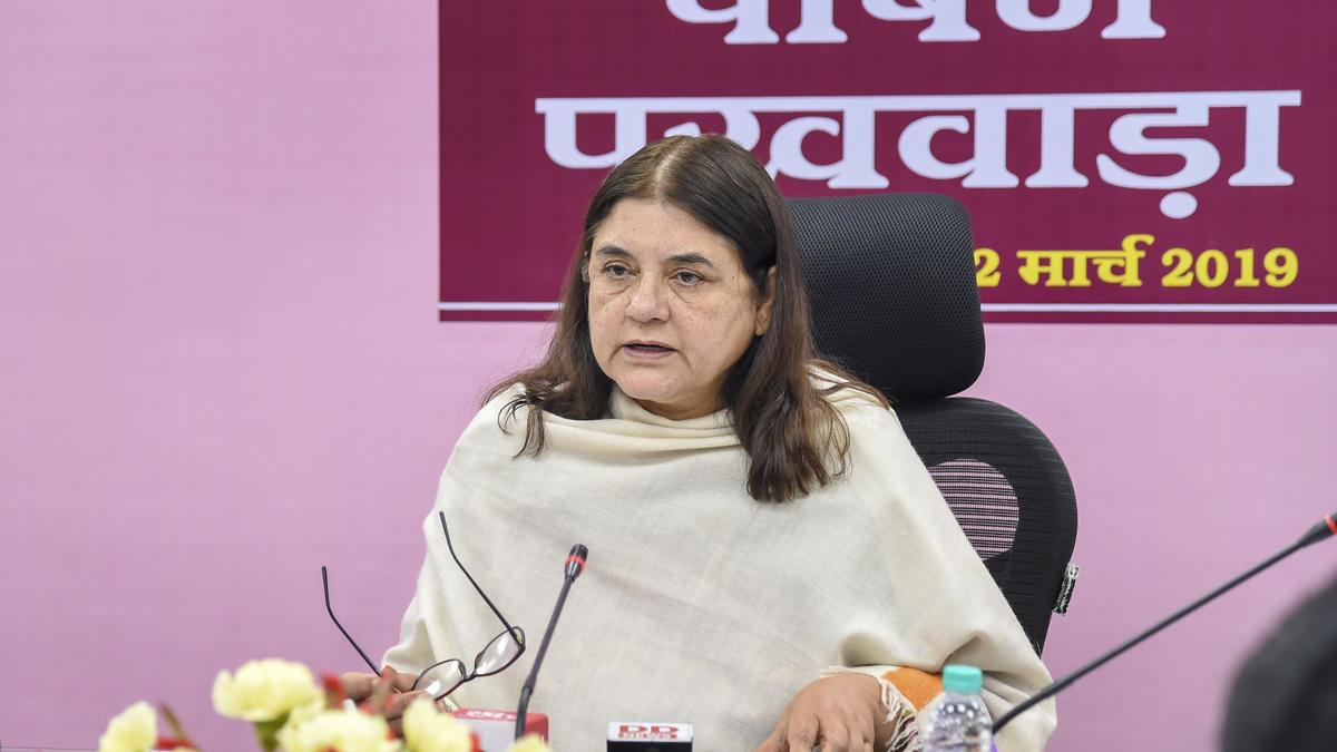 Maneka Gandhi calls SC’s order on stray animals 'impractical'