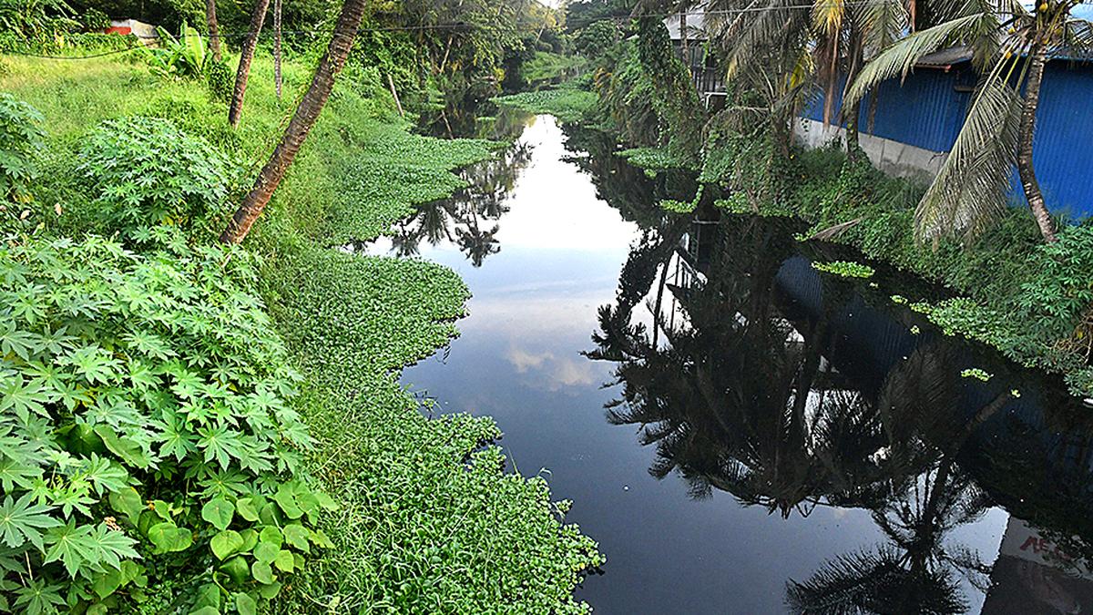 PCB issues closure notices to erring units near Thevara-Perandoor, Edappally canals