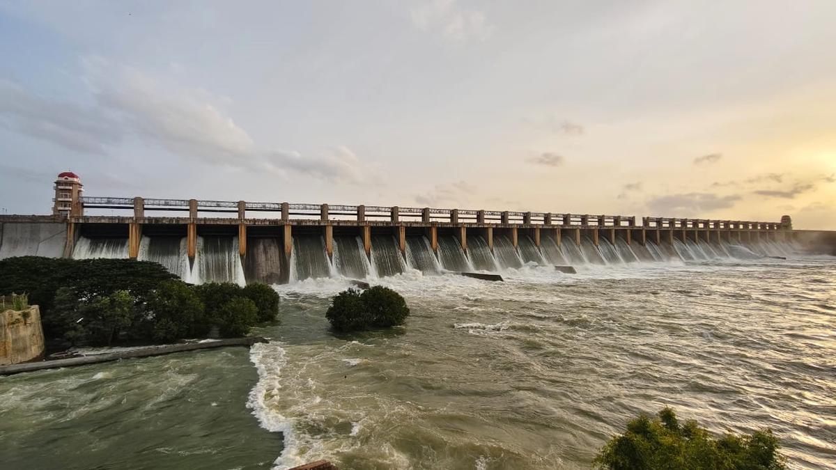 Union, State governments blamed as Tungabhadra farmers in Karnataka forced to skip second crop