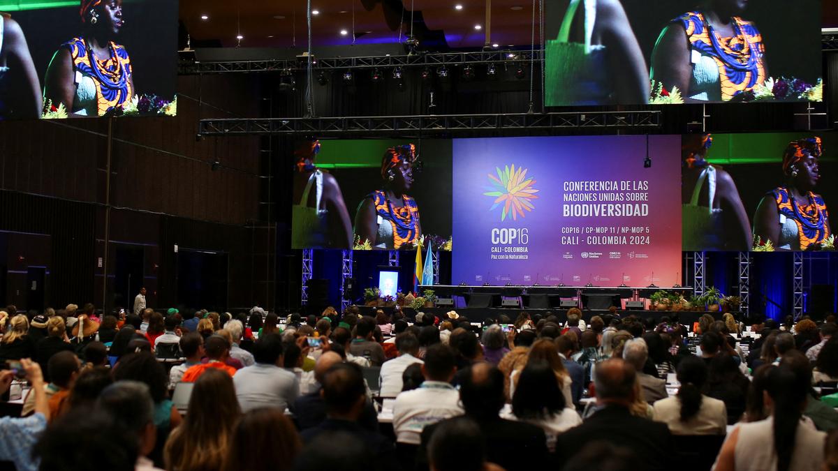 Environmental delegates gather in Colombia for conference on dwindling global biodiversity