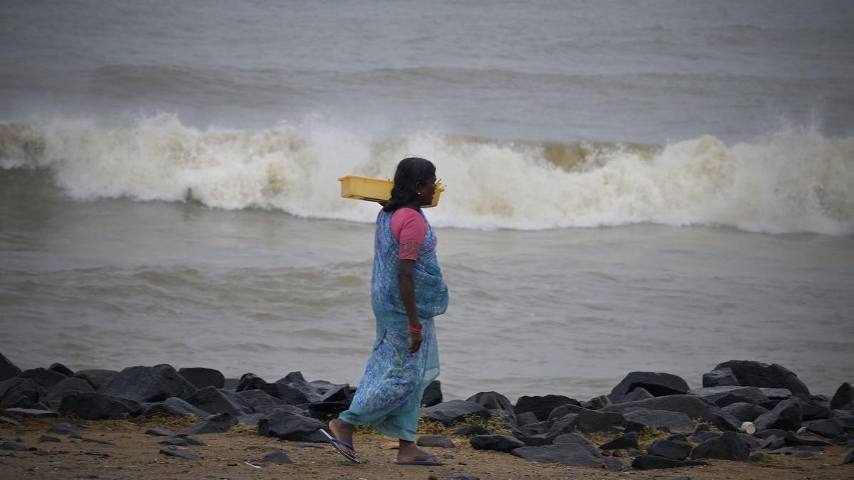 mixed faecal coliform in puducherry s thengaithittu kuruchikuppam beaches exceeds safe limits