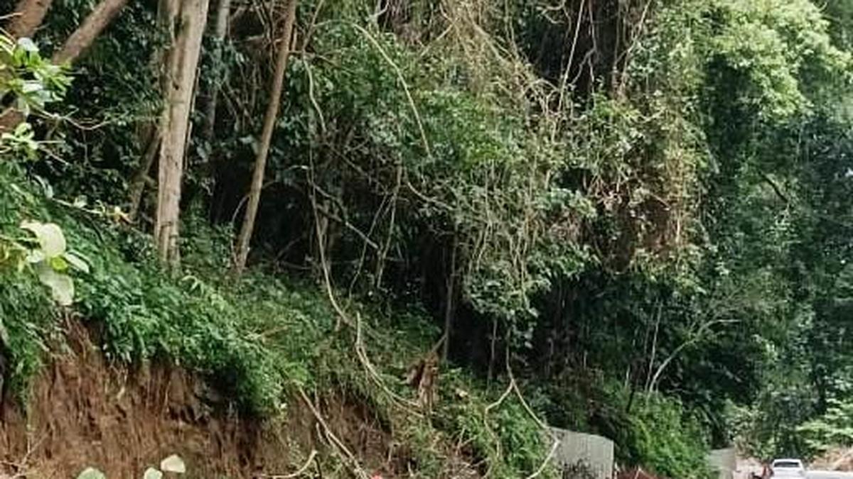 National Highway Protection Council demands government to resume road-widening works