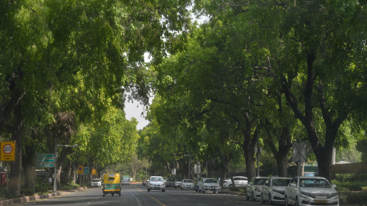 Over 100 hectares of forest land diverted for development work in Delhi in 15 years: Govt data