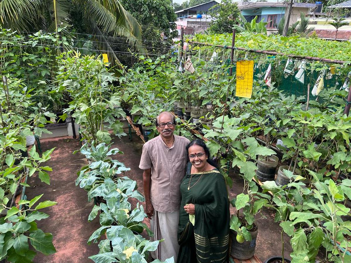 Vijaya Bhaskar with her husband, Bhaskaran Nair, at her terrace farm, at Aruvikkara