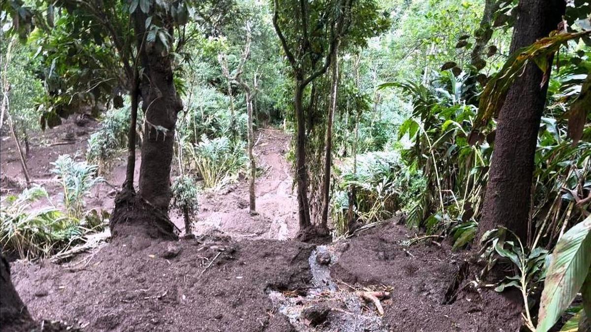 Kumily panchayat witnesses 18 landslips on Saturday
