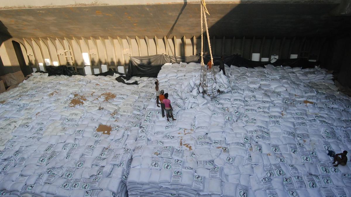 India to export rice to Singapore despite curbs, says External Affairs Ministry