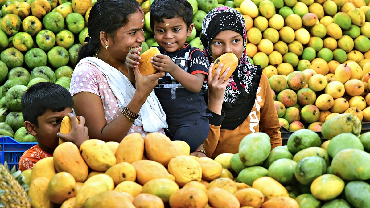 Annual mango mela in Bengaluru's Lalbagh from June 2 to June 11 ...