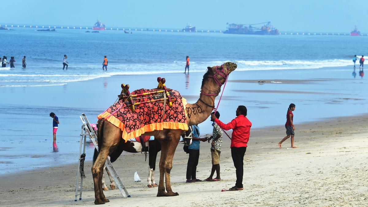 ‘Mission mode’ for tourism in Union Budget, but no increase in allocation