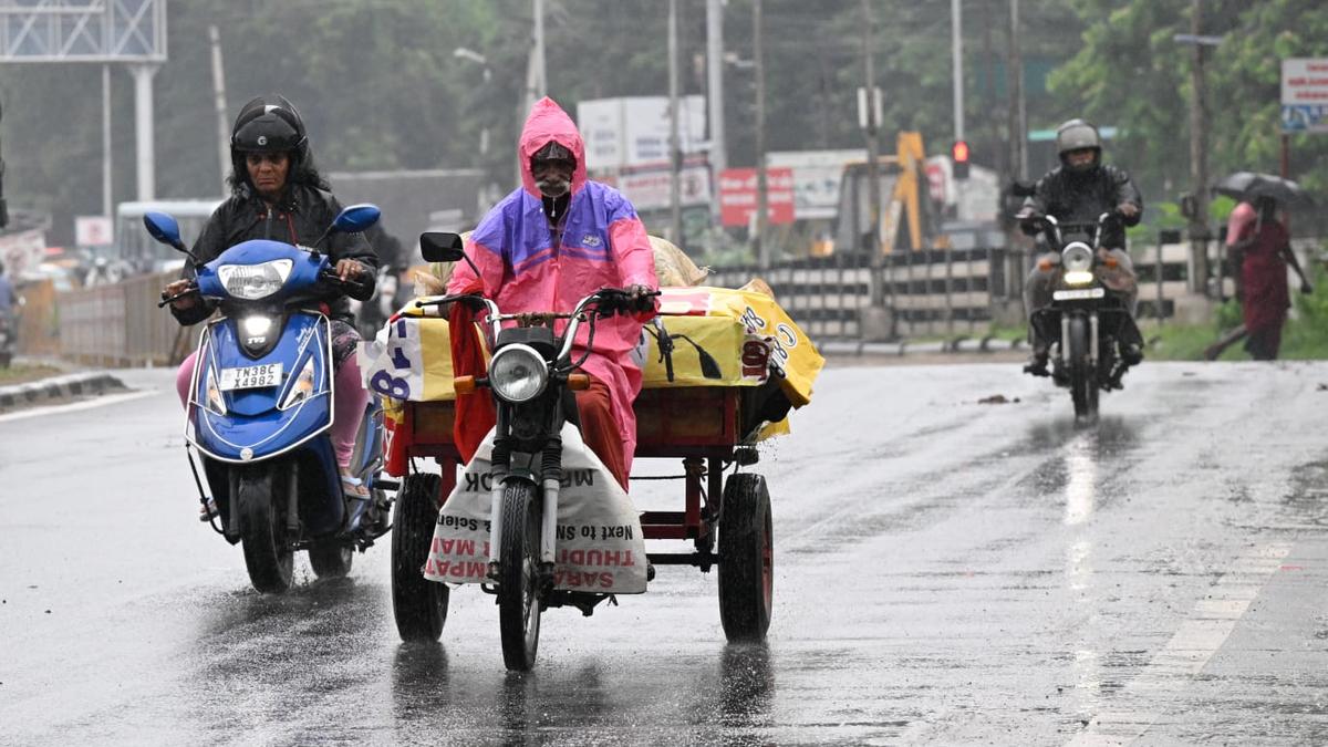 Tamil Nadu rains: Schools, colleges closed in several districts amid heavy rain - The Hindu