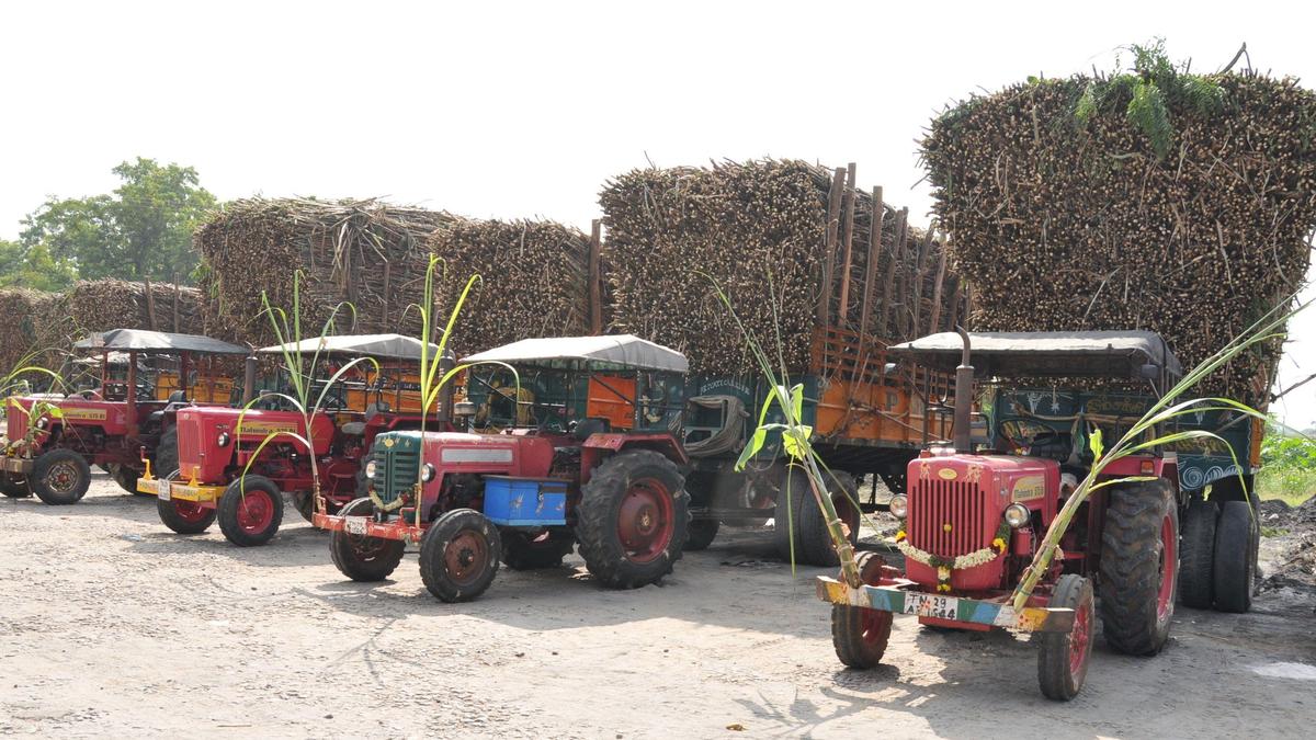 Tamil Nadu election 2026: In Palacode constituency, two-cornered contest on the cards