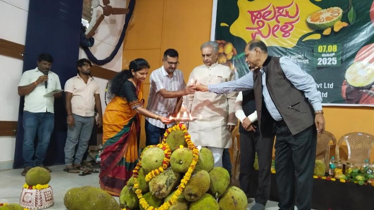 Jackfruit fair begins in Hubballi 
