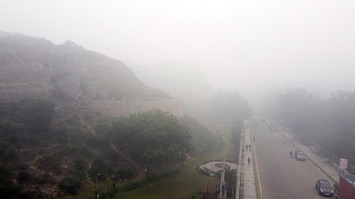 Dense fog over north India disrupts travel