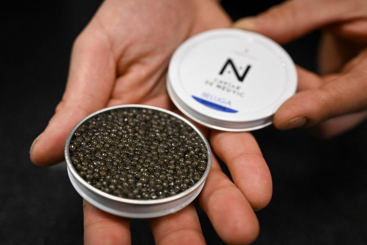 Beluga caviar at the Caviar de Neuvic boutique in Paris