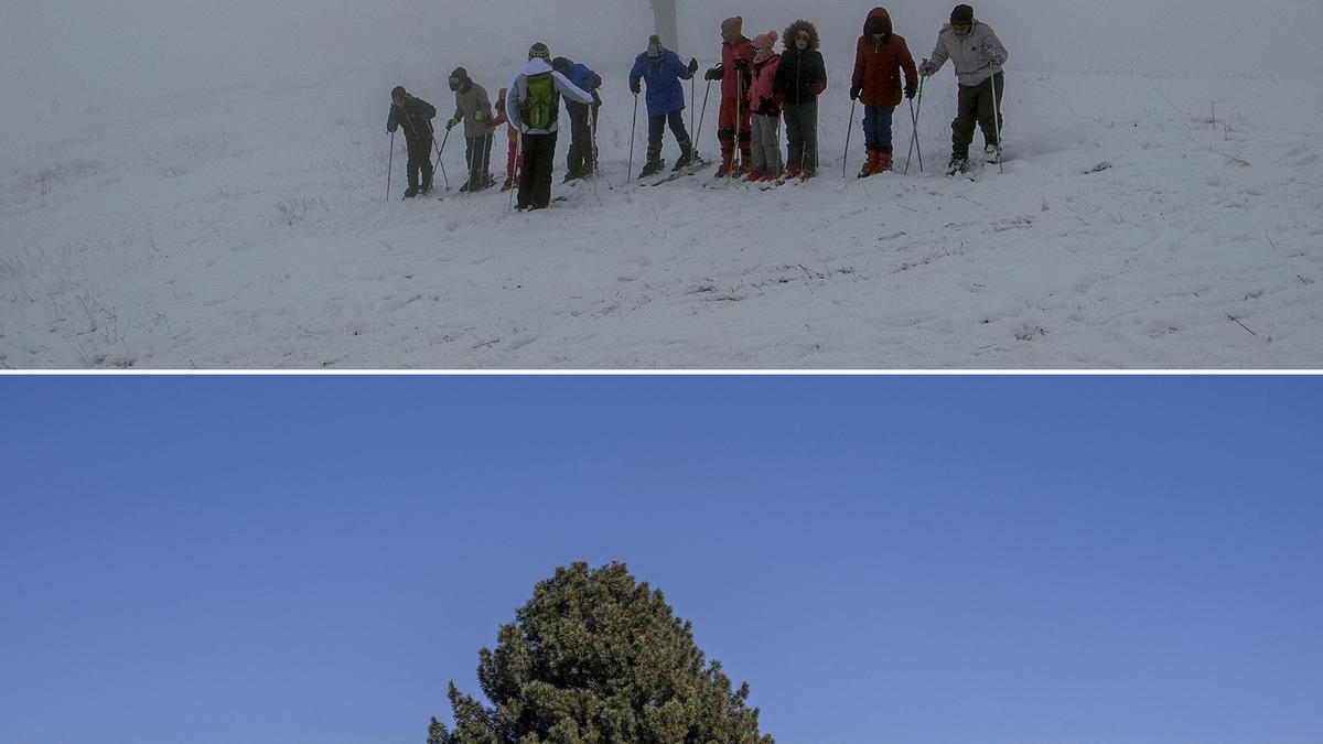 Srinagar records second highest January temperature in 50 years