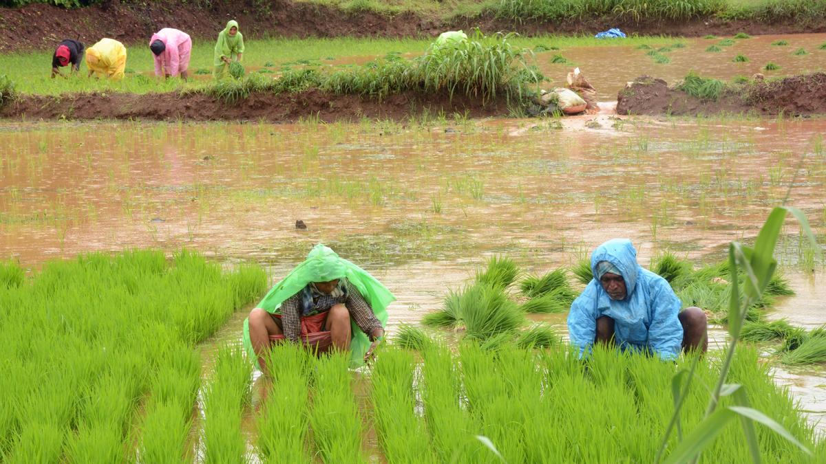 Heavy rains: Holiday declared for schools in Uttara Kannada