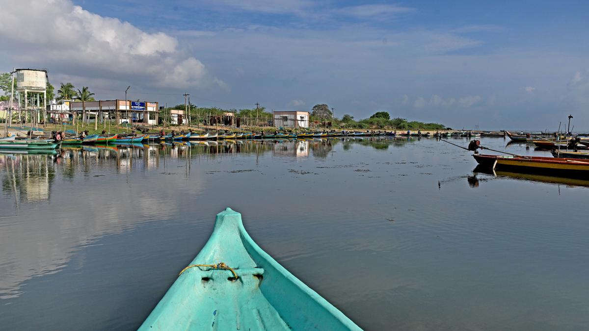 India’s second largest lagoon: a bit of history and a whole lot of birds