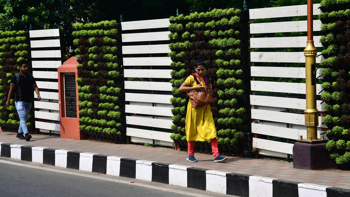Vertical gardens planned on bridges to make Vijayawada greener