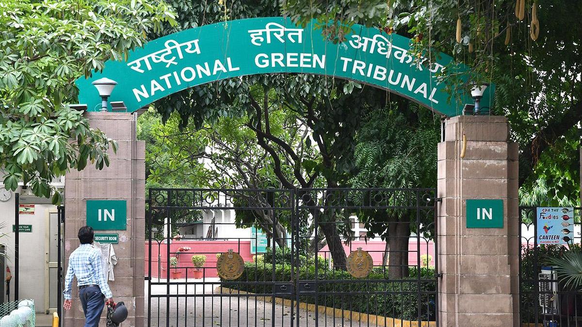 Tent city along Ganga, inaugurated by PM, ‘violated’ environmental norms: NGT